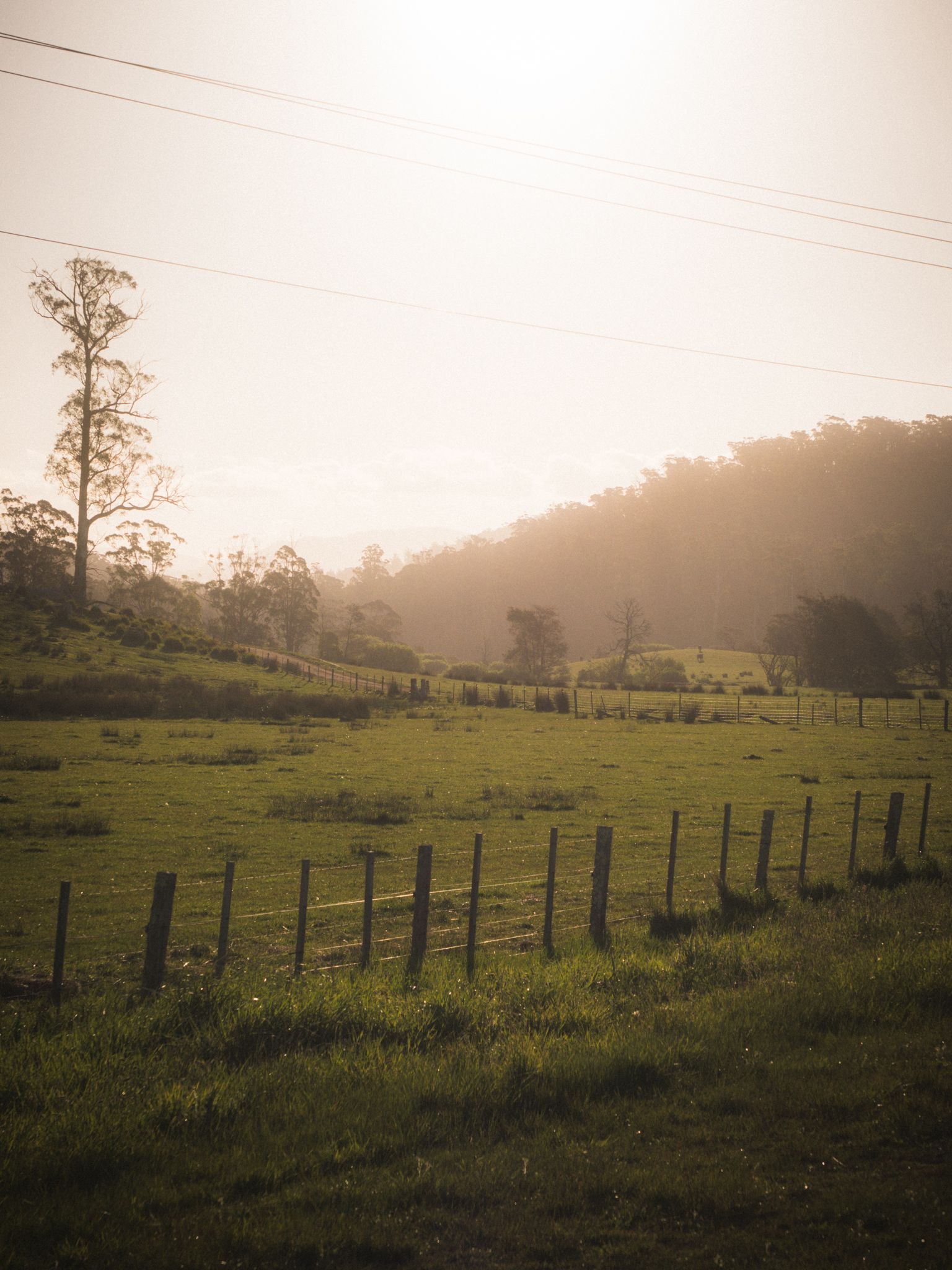 Golden evening light over farmland near the riverbend camp outside St Helens, Tasmania